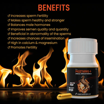 Liv Muztang Plus | 2x Power Booster Capsules | MenPower Ayurvedic Supplement | Improve Strength, Stamina, Vitality, and Vigor